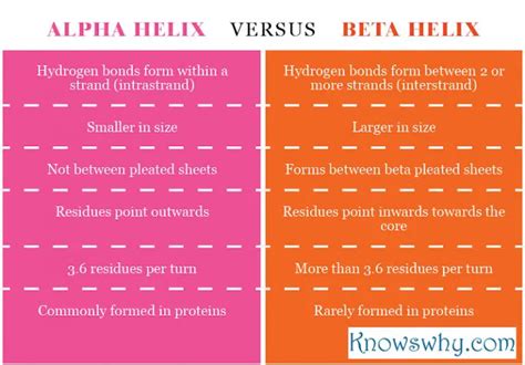 Difference between Alpha Helix and Beta Helix - KnowsWhy.com