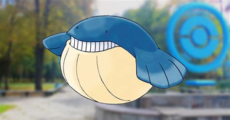 Wailmer 100% Perfect IV Stats, Shiny Wailmer in Pokemon Go - iGamesNews