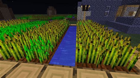 How to plant wheat in Minecraft 1.19 update