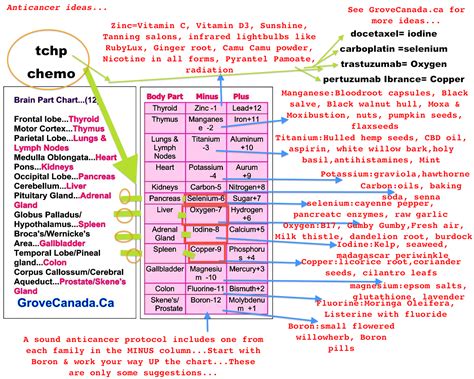 Different types of chemotherapy & what they are on the Grove Body Part ...
