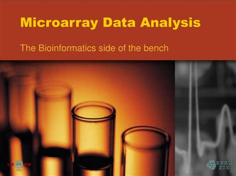 PPT - Microarray Data Analysis PowerPoint Presentation, free download ...