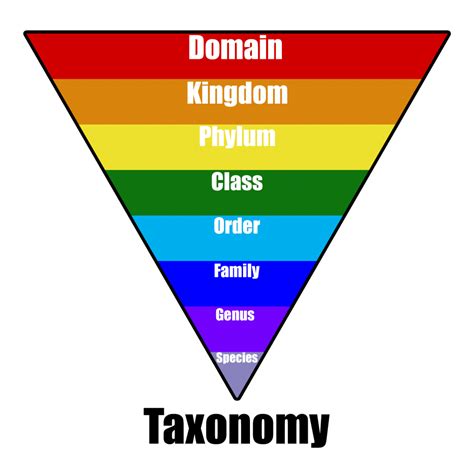 taxonomy - BIOLOGY JUNCTION