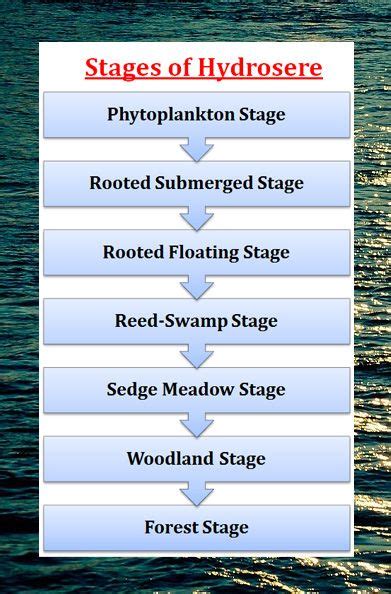 Stages of Hydrosere | Biology class, Ecology, Biology