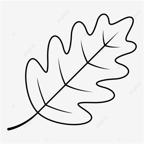 Autumn Leaf Outline Drawings