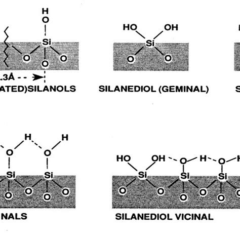 Different types of silanol groups. Reproduced from reference [15 ...