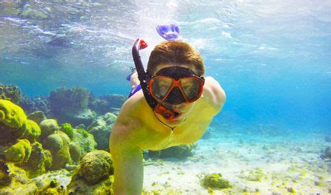 25 Best Turks And Caicos Snorkeling Spots ideas | best snorkeling ...