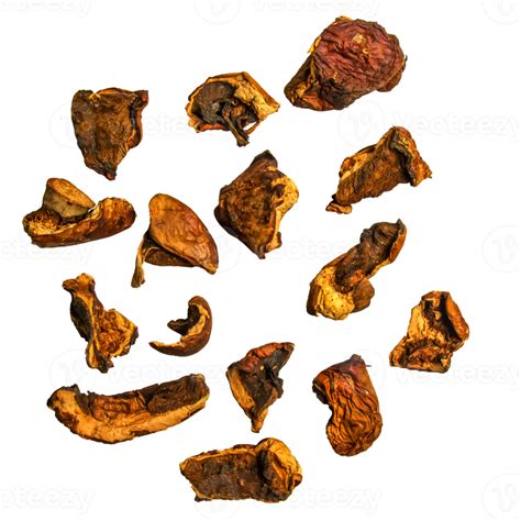 Dried porcini mushrooms isolated 17223107 PNG