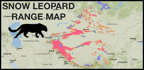 snow-leopard-range-map - Untamed Science