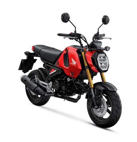 Honda Overhauls The 2023 Grom. Just Kidding. - Adventure Rider