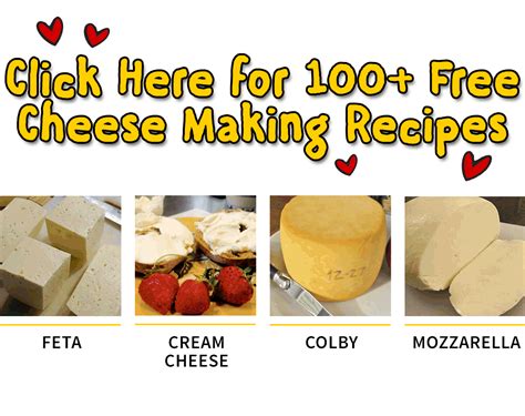 Click here for over 100 free cheese making recipes | How to make cheese ...