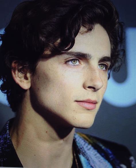 Timothee Chalamet Eye Color