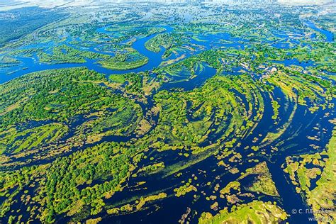 Pripyat Marshes Appreciation Thread