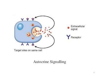 Cell Signaling - CSIR-NET (Life Sciences) ~ Educational Consultant