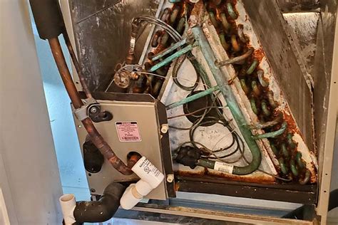 HVAC Mold Remediation, & Air Duct Mold Cleaning in Bethesda & Ashburn