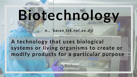 Biotechnology Definition and Examples - Biology Online Dictionary