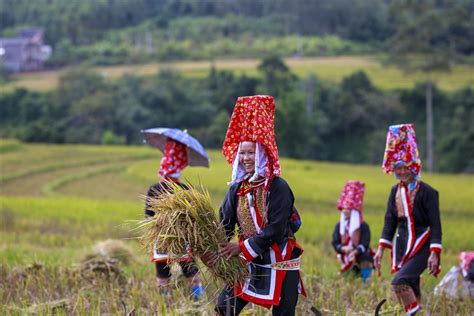 Nét đẹp của phụ nữ dân tộc Dao Thanh Phán qua ống kính nhiếp ảnh - Kiến ...