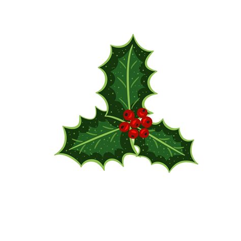 holly leaves, berries, color2 3134703 Vector Art at Vecteezy