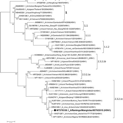 Phylogenetic tree of the HA gene of influenza A/H5N1 viruses of clade ...