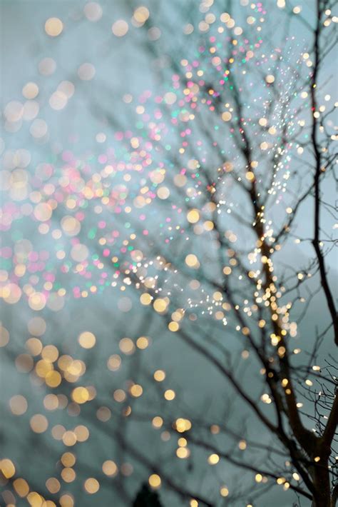 Winter Photography Holiday Fairy Lights in Trees Festive