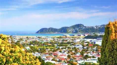 Wellington 2021: Top 10 Tours & Activities (with Photos) - Things to Do ...