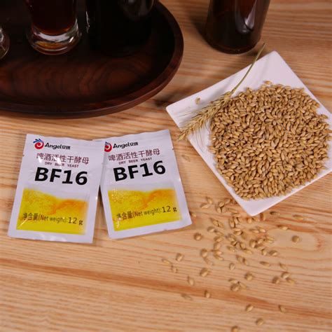 ANGEL BF16 Instant Dry Yeast For Lager Beer Craft Brewery Fermentation ...