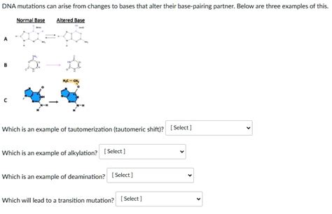 SOLVED: DNA mutations can arise from changes to bases that alter their ...