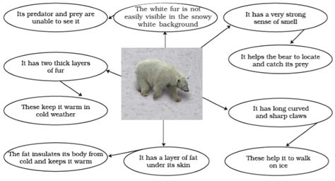 Science Scoop with Neha: ANIMALS IN POLAR REGION, CLASS 7