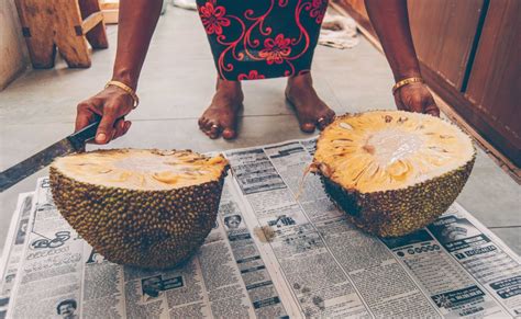 Jackfruit Explained | That’s What She Had