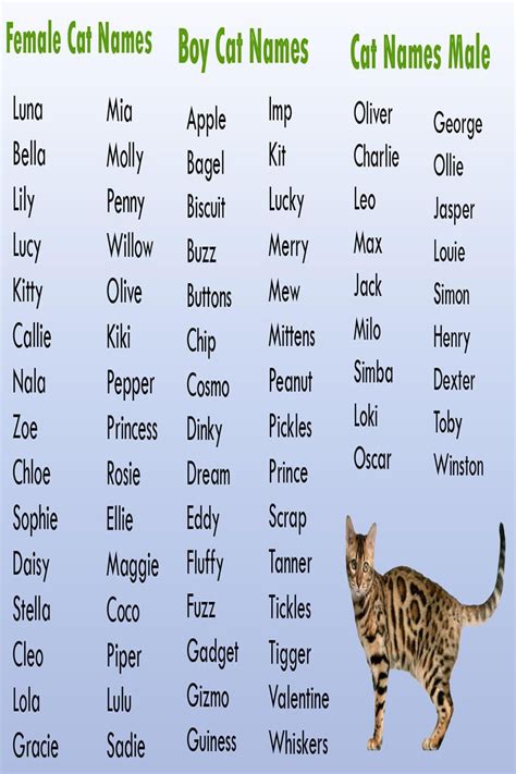 Cat Names Male List