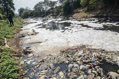 Sungai Di Kabupaten Bekasi Tercemar Limbah - Bisnis.com