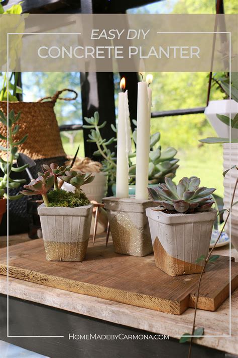 How To Make DIY Concrete Planters