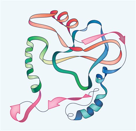 Biological Proteins | Physics | Visionlearning