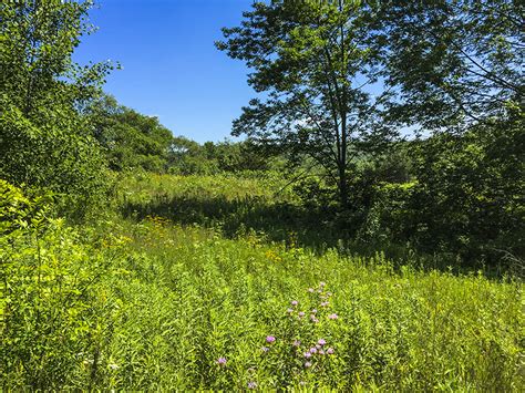 Wisconsin Explorer: Hiking Natural Bridge State Park