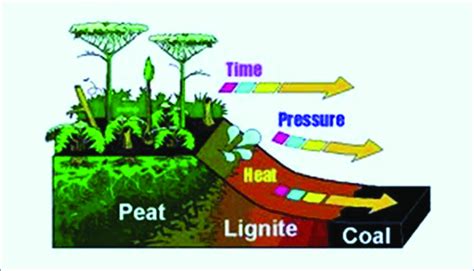 Burning Fossil Fuels Diagram