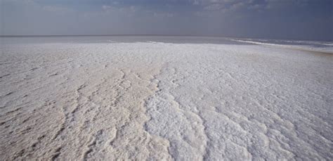 Inspired Travel: The Rann of Kutch | ShermansTravel