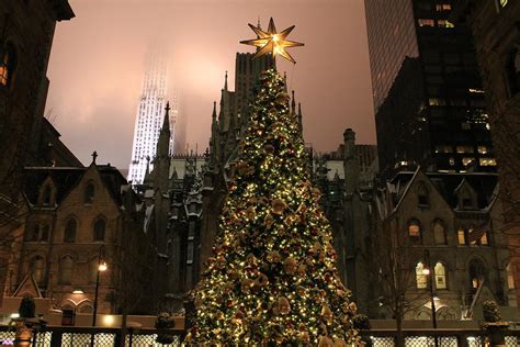 St. Patrick's Cathedral behind the Christmas Tree Photograph by Catie ...