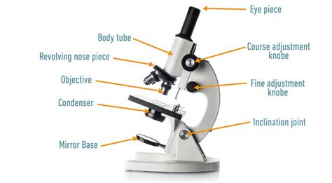 Electron Microscope Diagram