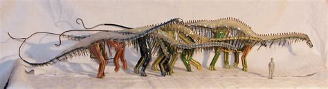 Apatosaurus species comparison by DiNoDrAwEr on DeviantArt