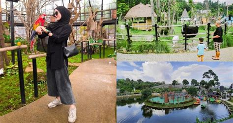 Lembang Park and Zoo: Info Lengkap Harga Tiket Hingga Cara ke Sana ...