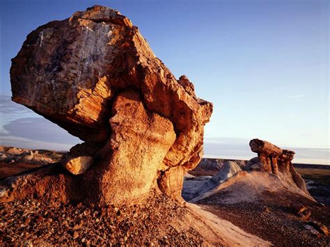 A Guide to Arizona's Petrified Forest National Park