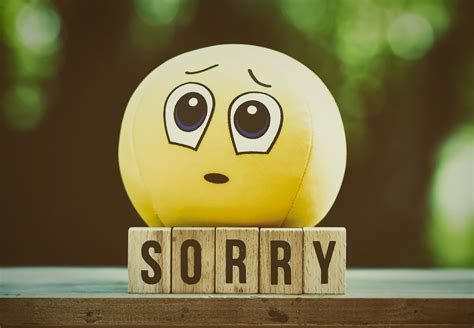 Ultimate Sorry Photo Gallery: 200+ Free Apology & Forgiveness Pictures ...