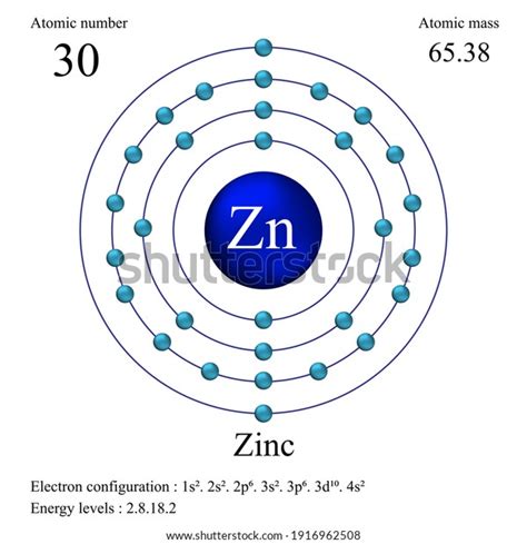 Zinc Atomic Structure Has Atomic Number: เวกเตอร์สต็อก (ปลอดค่า ...