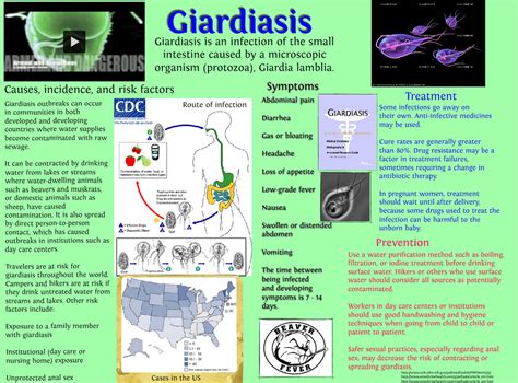 Giardiasis Symptoms And Signs | Bruin Blog