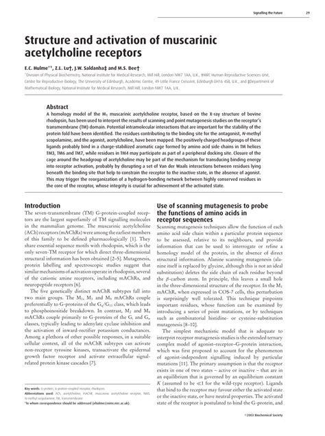 (PDF) Structure and activation of muscarinic acetylcholine receptors