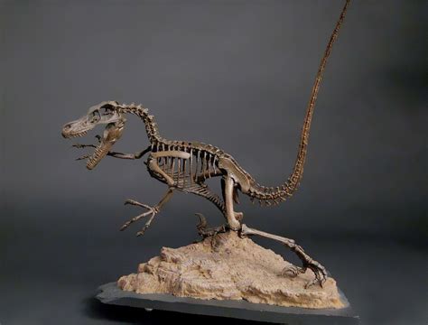 1000+ images about Velociraptor on Pinterest