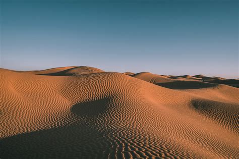 Désert de Tunisie depuis Douz : quelle excursion dans le Sahara tunisien