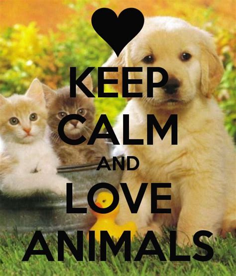 Keep calm & Love animals | Save animals slogans, Save animals, Keep ...