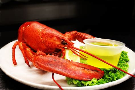 Dine On Fresh Seafood While Enjoying Coastal Views In Vermont