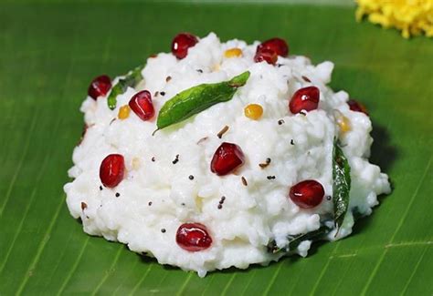 Try Easy Yet Mouth-Watering Curd Rice Recipe - Pragativadi