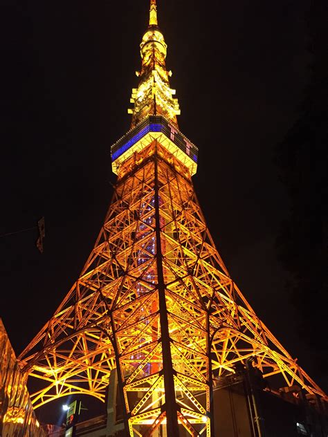 Night style of Tokyo Tower | SOSHI'S TOKYO BIKE TOUR